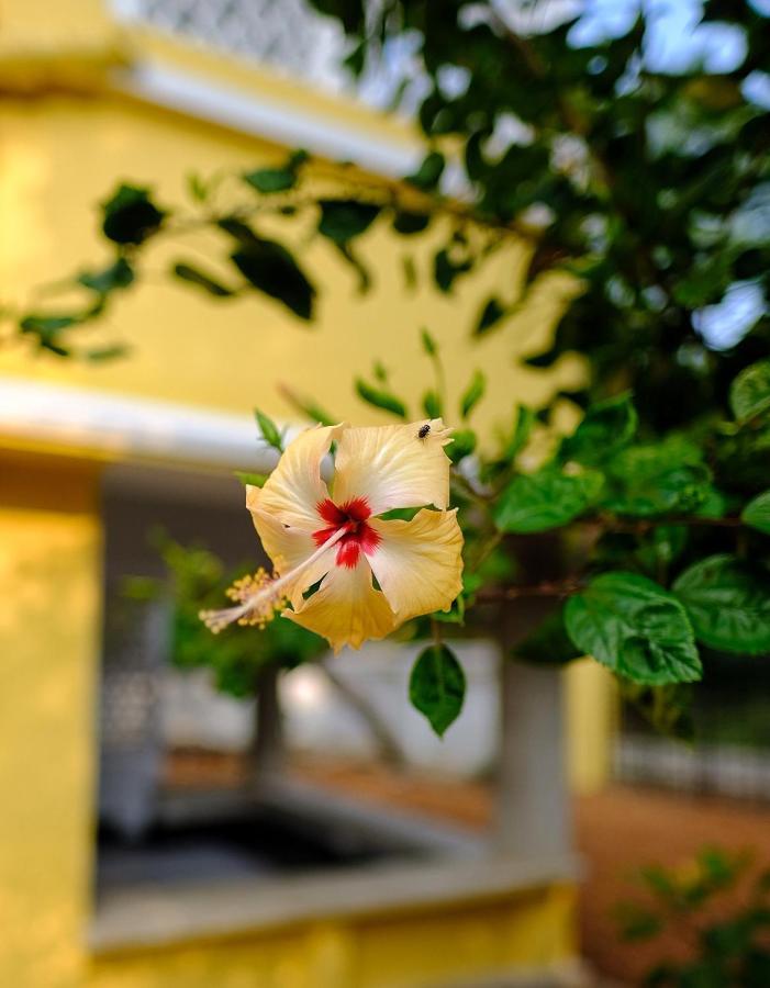 Parul - Elegant Heritage Home At The Heart Of Shantiniketan Экстерьер фото
